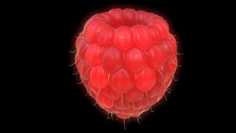 Raspberry Tart